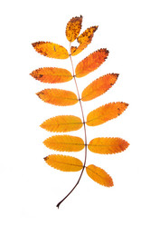 Similar image 763248