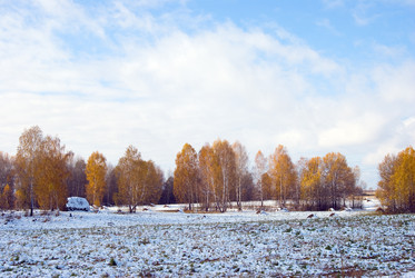 Similar image 763249