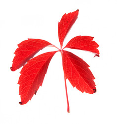 Similar image 763251