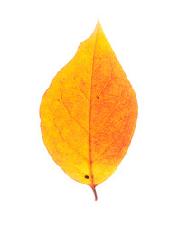 Similar image 763252