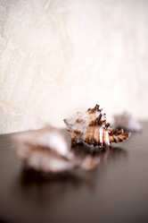 Similar image 763255