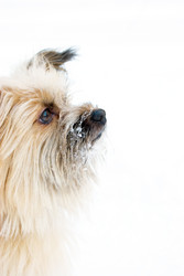 Similar image 763263