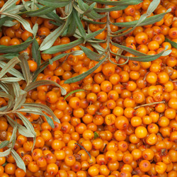 Similar image 763266