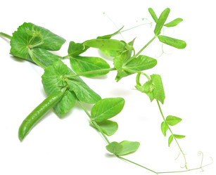 Similar image 763272