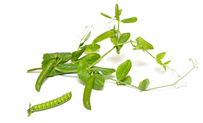 Similar image 763277