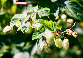 Similar image 763286