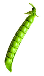 Similar image 763292