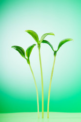 Similar image 763394