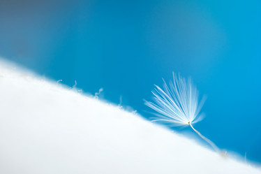 Similar image 763407