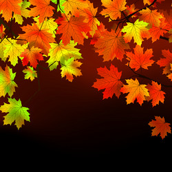 Similar image 763412