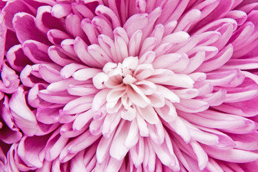 Similar image 763417