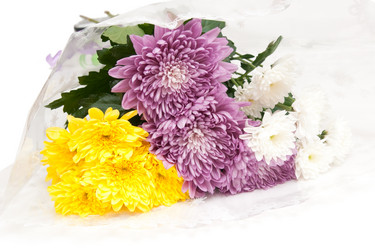 Similar image 763419