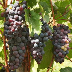 Similar image 763423