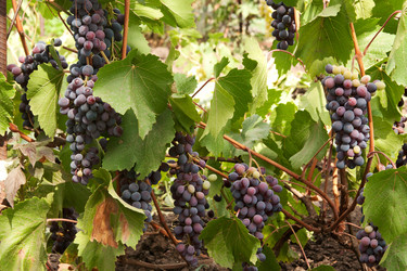 Similar image 763424