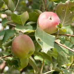 Similar image 763425