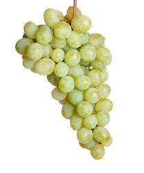 Similar image 763426