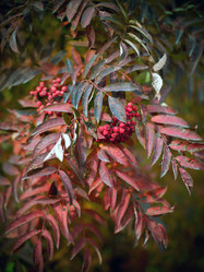 Similar image 763434