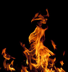 Similar image 763461