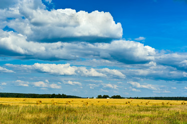 Similar image 763522