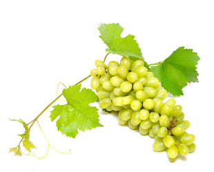 Similar image 763566