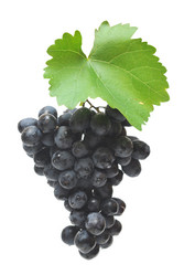 Similar image 763567