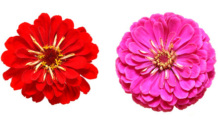 Similar image 763592