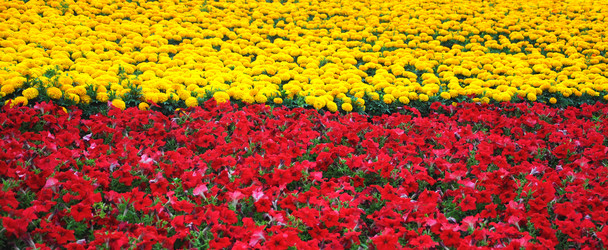 Similar image 763605