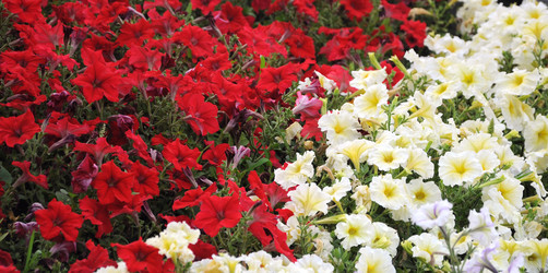 Similar image 763609