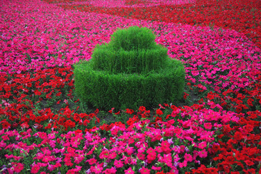 Similar image 763618