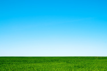 Similar image 763621