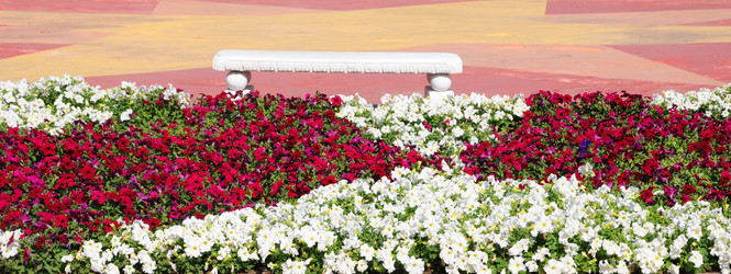 Similar image 763633