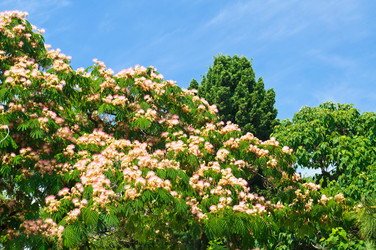 Similar image 763635