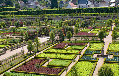 Similar image 763655