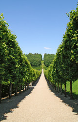 Similar image 763665