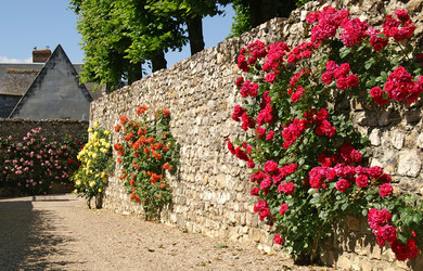 Similar image 763670