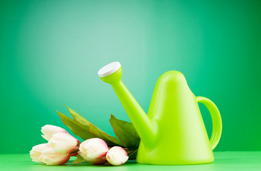 Similar image 763687