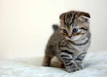 Similar image 763688