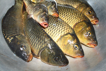 Similar image 763691