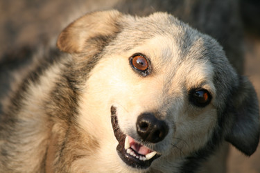 Similar image 763695