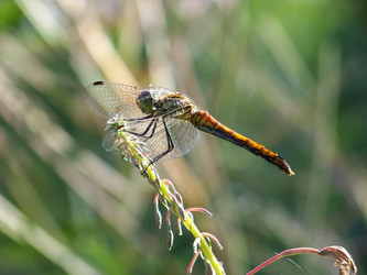 Similar image 763764