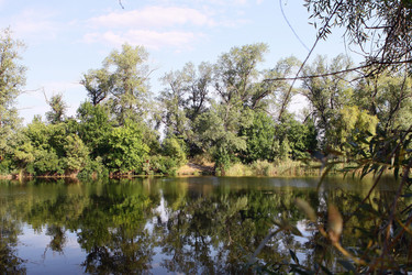 Similar image 763904