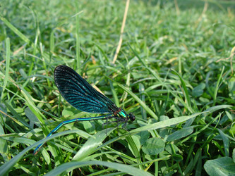 Similar image 763950