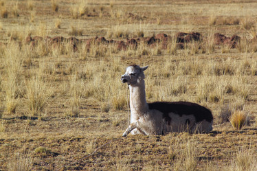 Similar image 764023