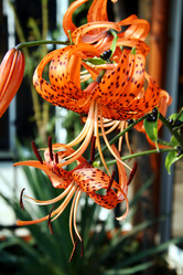 Similar image 764059