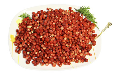 Similar image 764101