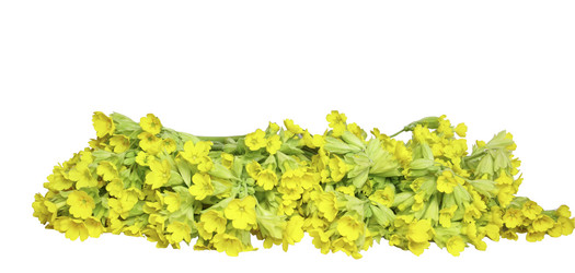 Similar image 764169