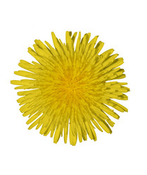 Similar image 764175