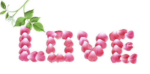 Similar image 764182