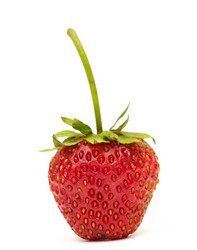 Similar image 764233