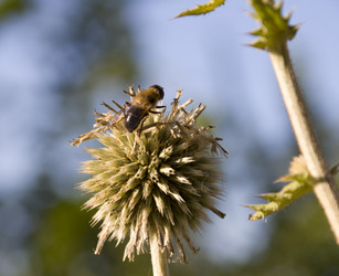 Similar image 764235